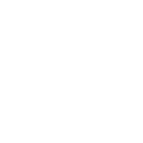 srvlogo